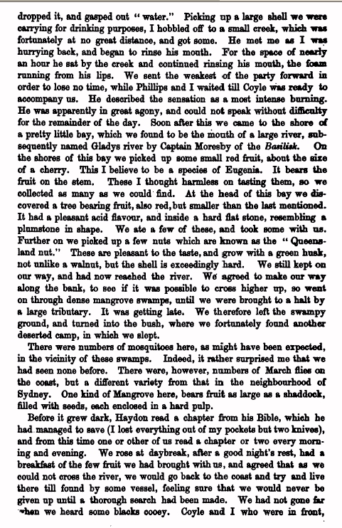 Image 21 of 31  -  397 kB