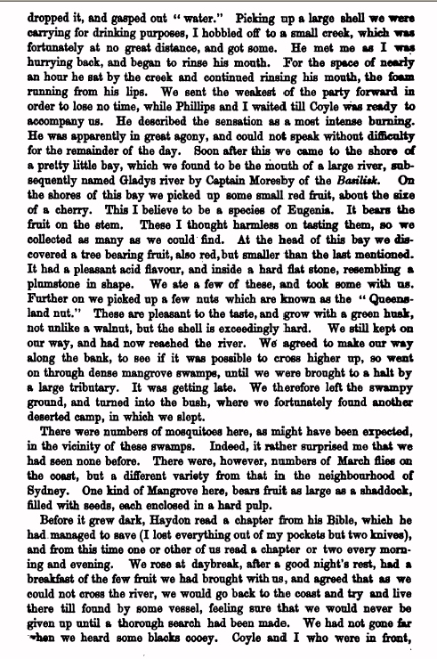 Image 28 of 31  -  402 kB