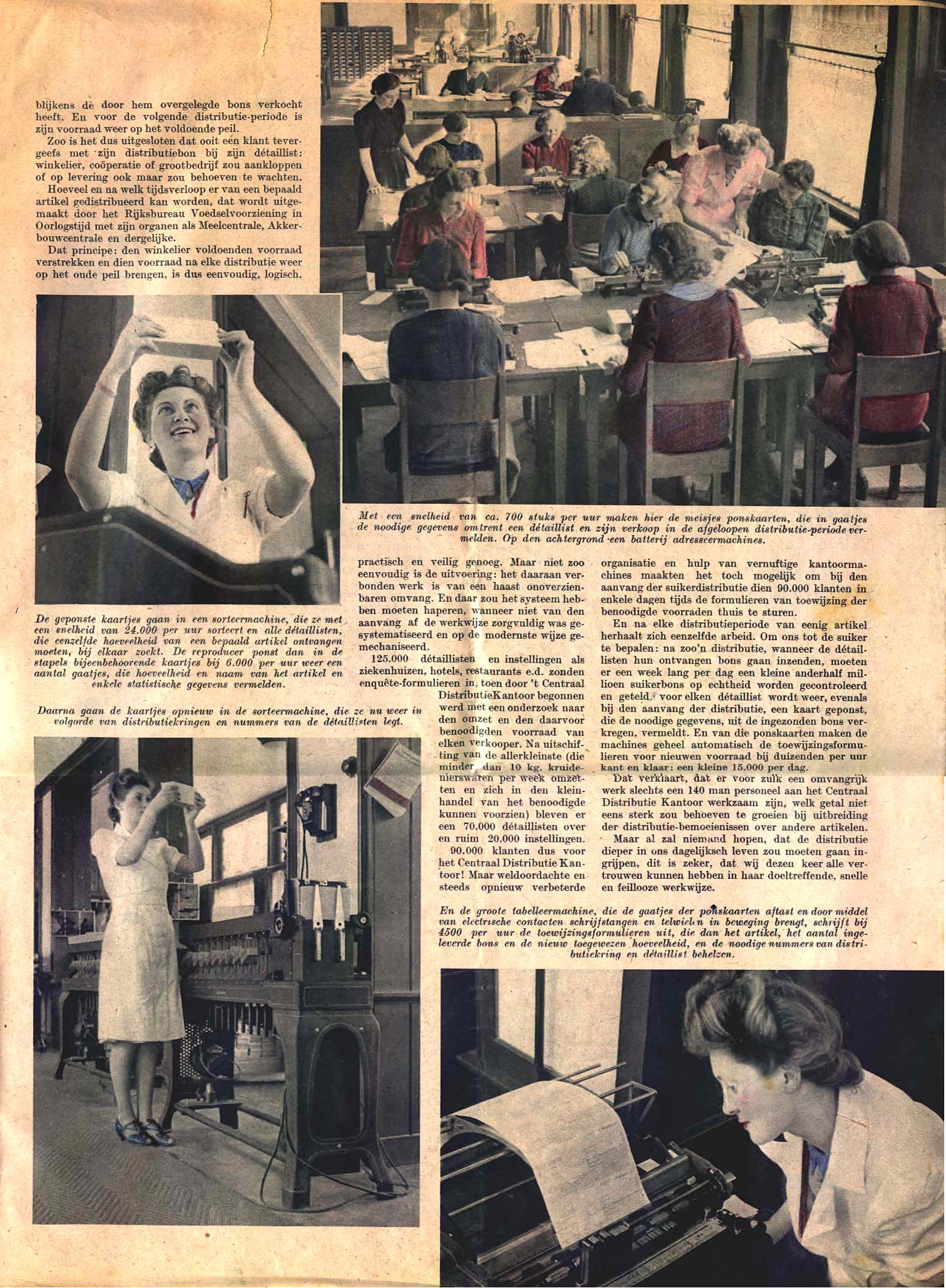 Image 2 of 30  -  455 kB