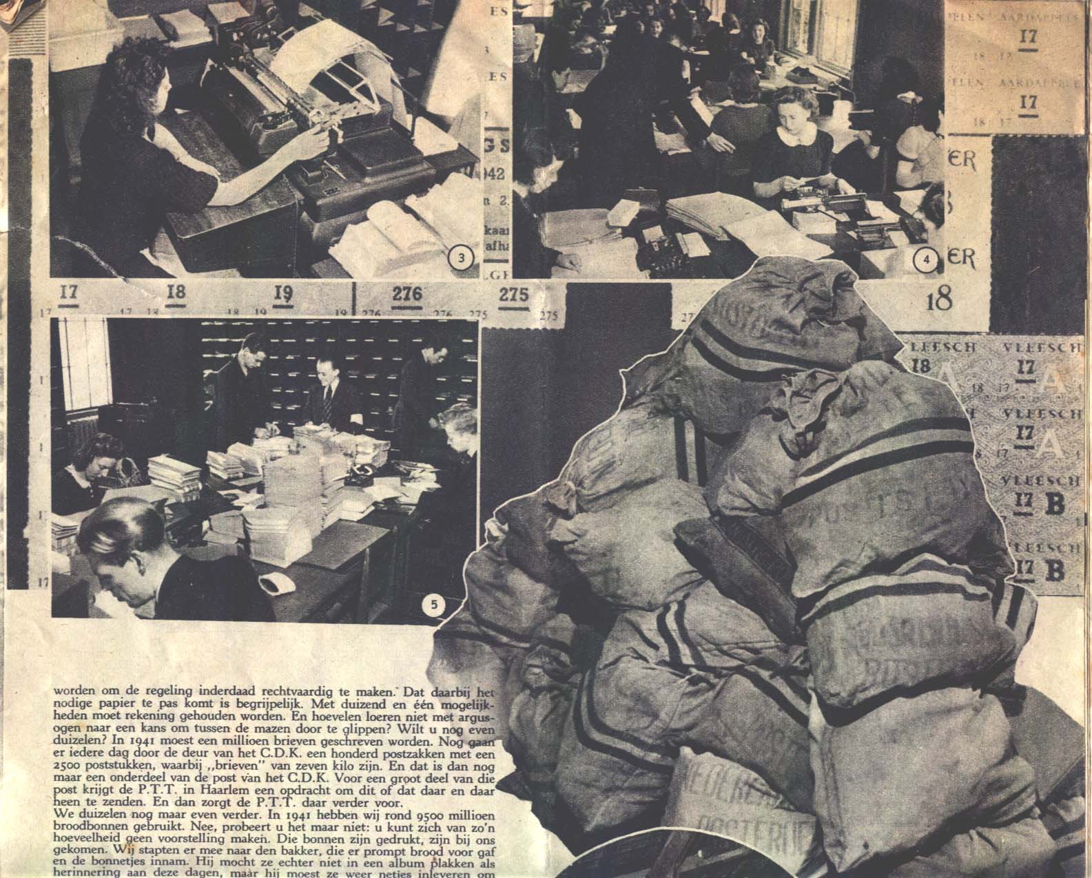 Image 24 of 30  -  249 kB