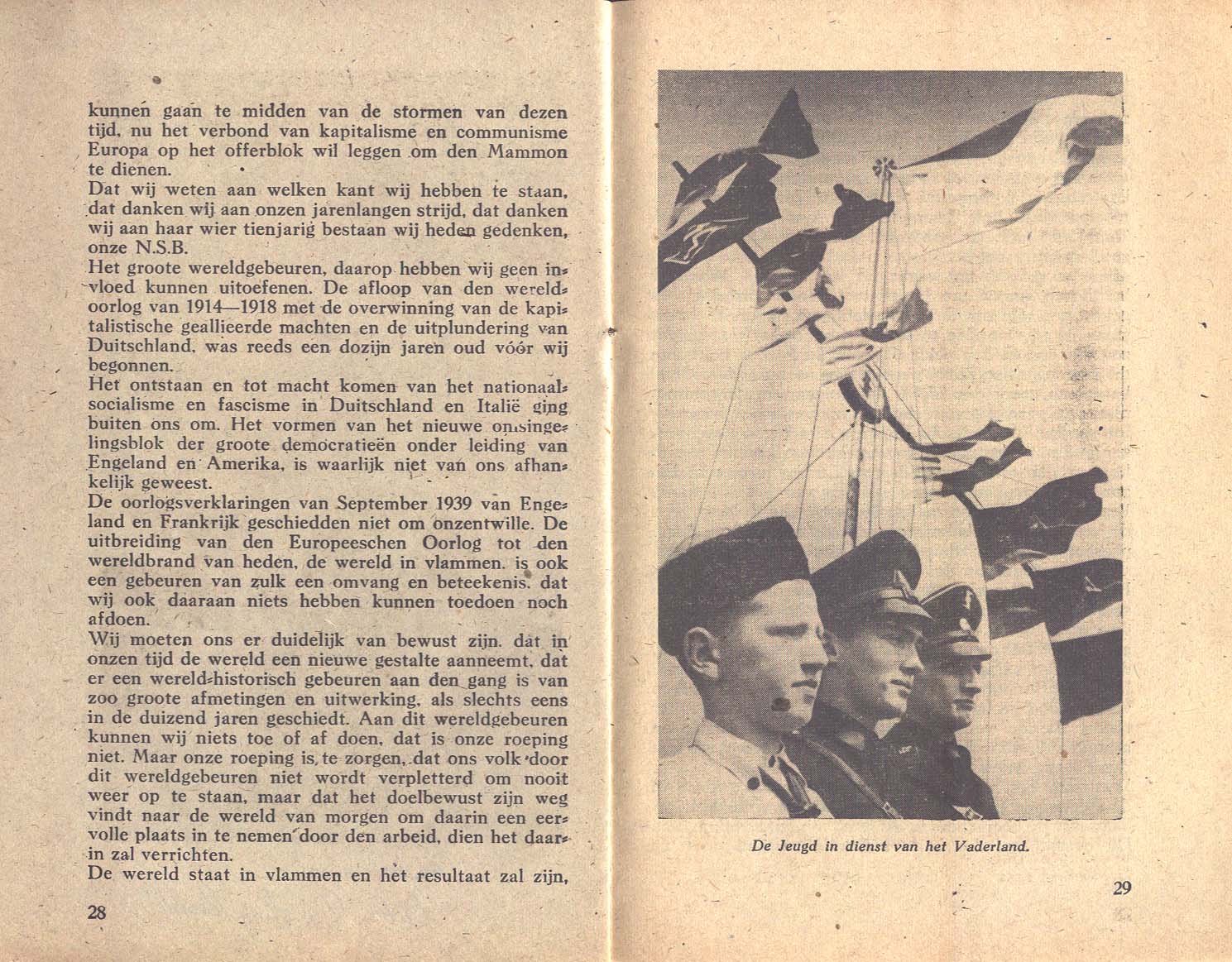 Image 15 of 24  -  297 kB