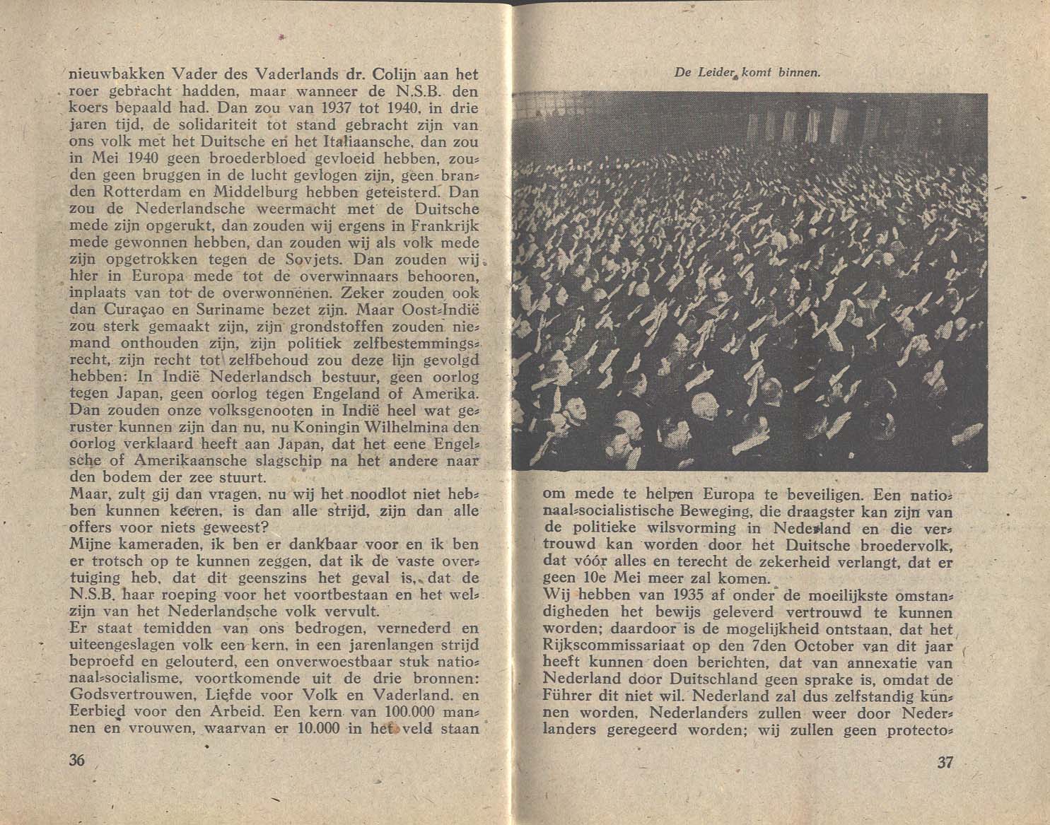 Image 19 of 24  -  282 kB