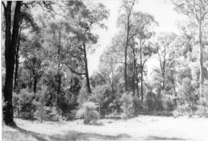 agb4.jpg (42179 bytes)